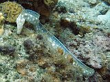 Curacao 04-12 229